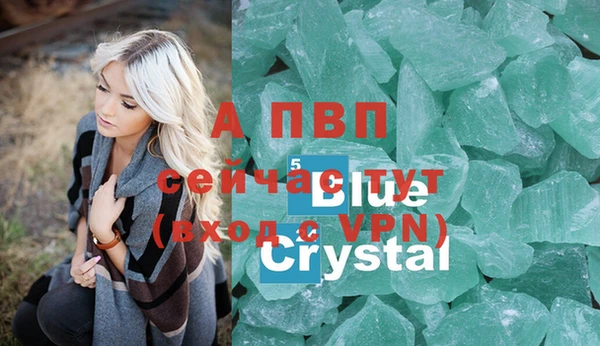 дживик Новодвинск