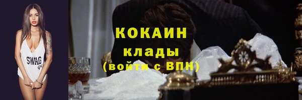 дживик Новодвинск