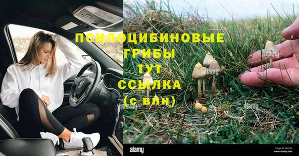 дживик Новодвинск