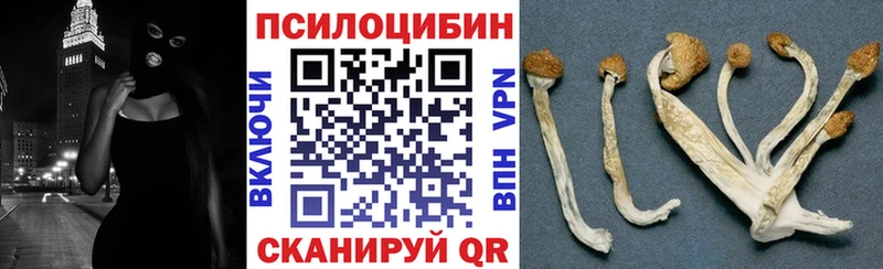 блэк спрут рабочий сайт  Тулун  Галлюциногенные грибы Psilocybe 