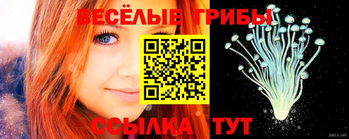 Псилоцибиновые грибы MAGIC MUSHROOMS  Вход с VPN  Тулун  Галлюциногенные грибы GOLDEN TEACHER 