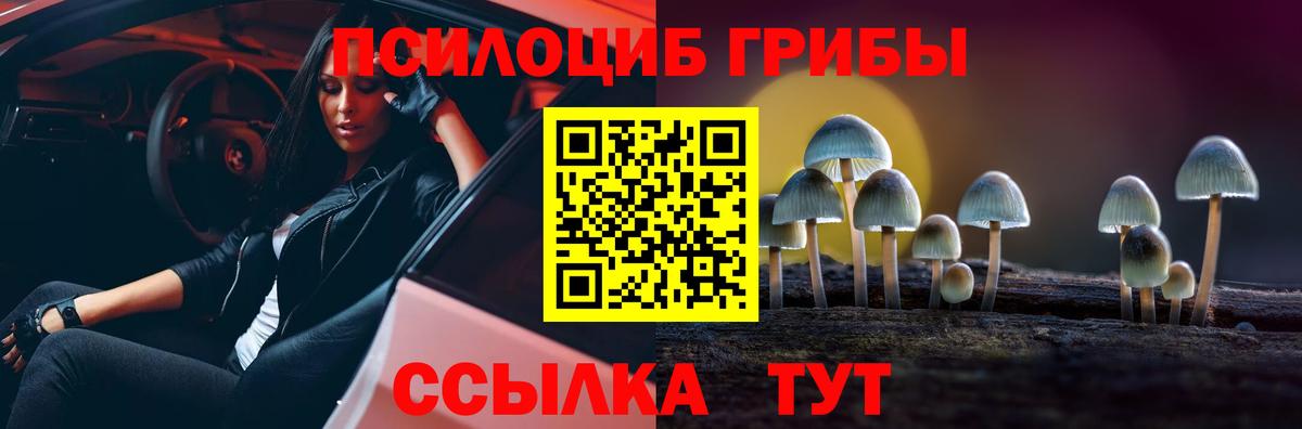 Галлюциногенные грибы Cubensis Тулун